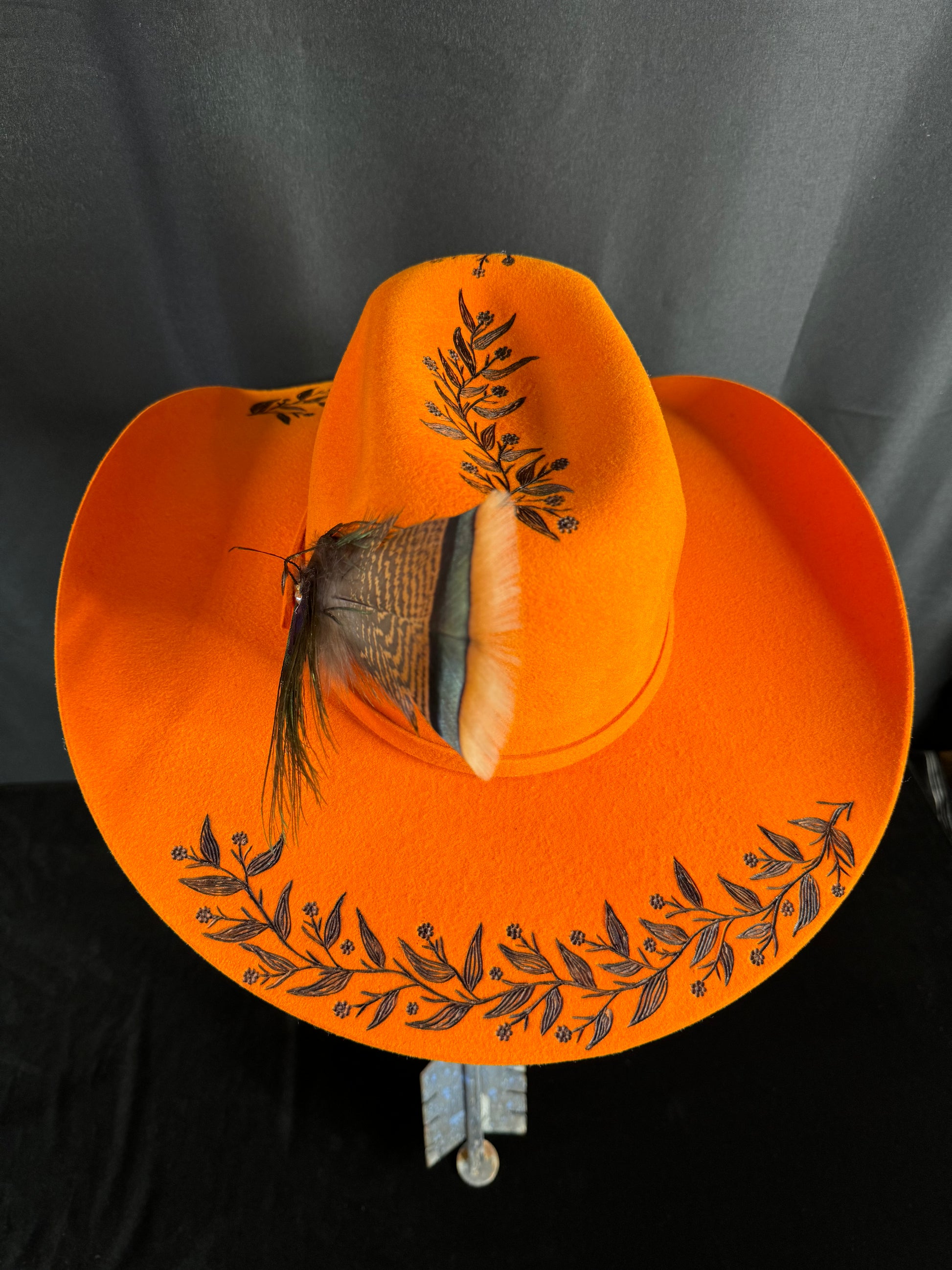 American Beauty Orange Burned Brims