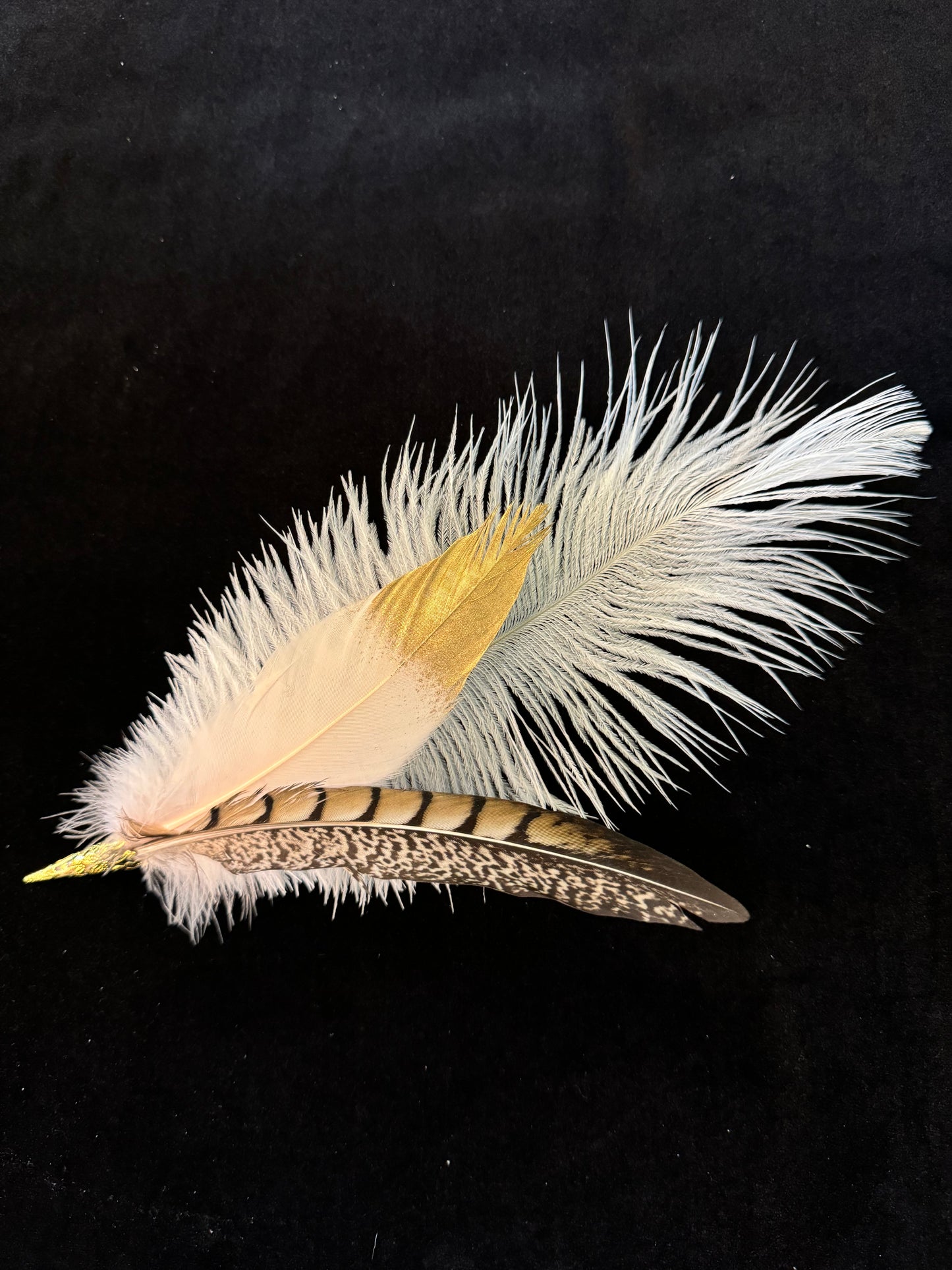 Custom Feather 105